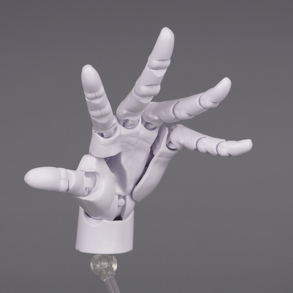 10.5cm Human Hand Model With M - Food Storage Eggs 评论和价格