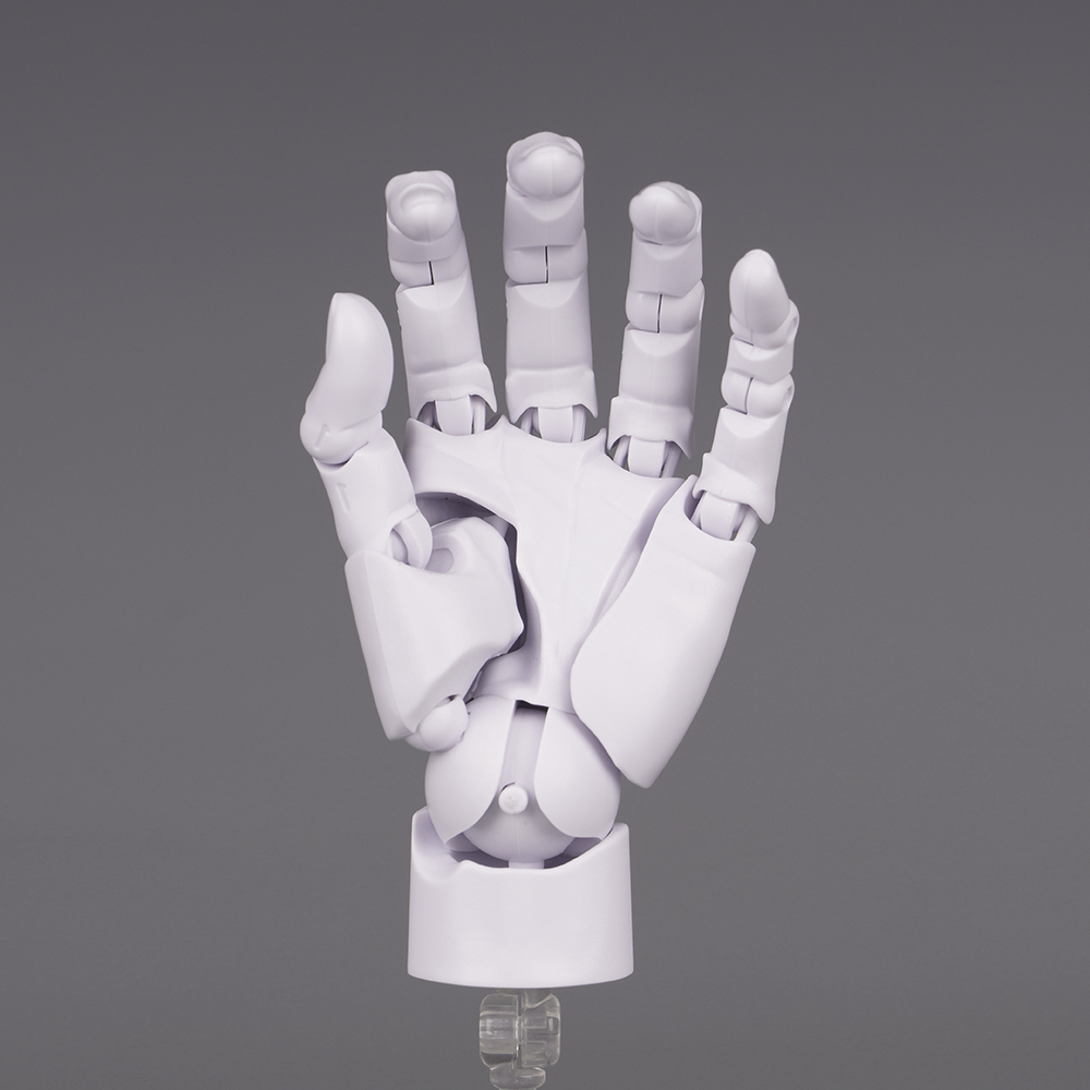 10.5cm Human Hand Model With M - Food Storage Eggs 评论和价格