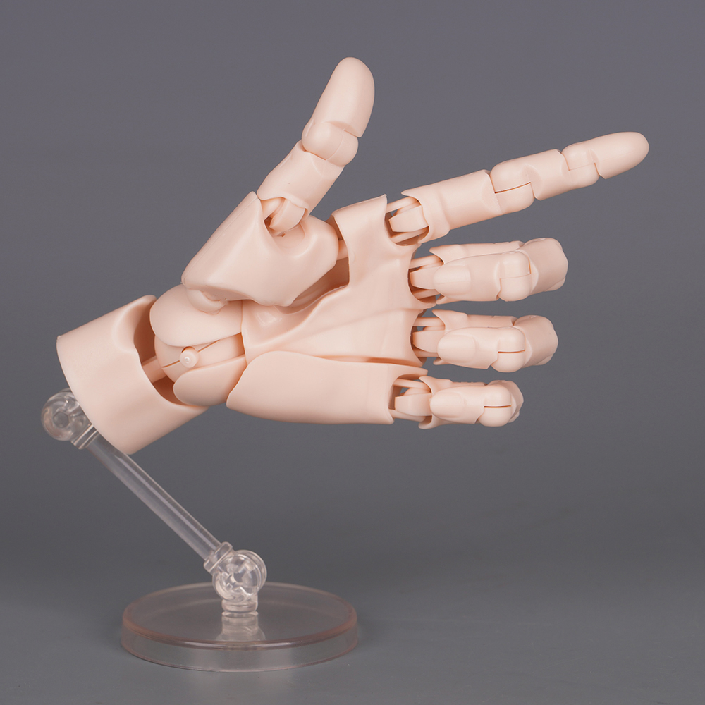10.5cm Human Hand Model With M - Food Storage Eggs 评论和价格